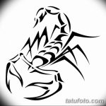 фото эскиз тату скорпион от 24.04.2018 №129 - sketch of a scorpion tattoo - tatufoto.com