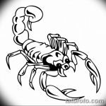 фото эскиз тату скорпион от 24.04.2018 №130 - sketch of a scorpion tattoo - tatufoto.com