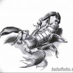фото эскиз тату скорпион от 24.04.2018 №133 - sketch of a scorpion tattoo - tatufoto.com