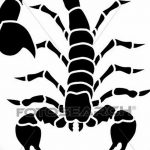 фото эскиз тату скорпион от 24.04.2018 №135 - sketch of a scorpion tattoo - tatufoto.com