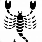 фото эскиз тату скорпион от 24.04.2018 №136 - sketch of a scorpion tattoo - tatufoto.com