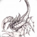 фото эскиз тату скорпион от 24.04.2018 №137 - sketch of a scorpion tattoo - tatufoto.com