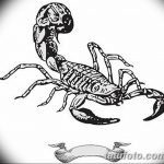 фото эскиз тату скорпион от 24.04.2018 №139 - sketch of a scorpion tattoo - tatufoto.com