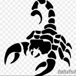 фото эскиз тату скорпион от 24.04.2018 №142 - sketch of a scorpion tattoo - tatufoto.com