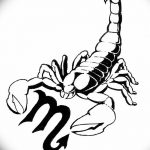 фото эскиз тату скорпион от 24.04.2018 №143 - sketch of a scorpion tattoo - tatufoto.com