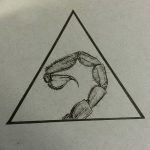 фото эскиз тату скорпион от 24.04.2018 №146 - sketch of a scorpion tattoo - tatufoto.com