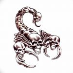фото эскиз тату скорпион от 24.04.2018 №147 - sketch of a scorpion tattoo - tatufoto.com