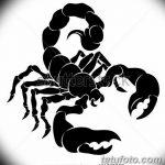 фото эскиз тату скорпион от 24.04.2018 №149 - sketch of a scorpion tattoo - tatufoto.com