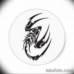 фото эскиз тату скорпион от 24.04.2018 №152 - sketch of a scorpion tattoo - tatufoto.com