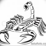 фото эскиз тату скорпион от 24.04.2018 №154 - sketch of a scorpion tattoo - tatufoto.com