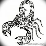 фото эскиз тату скорпион от 24.04.2018 №155 - sketch of a scorpion tattoo - tatufoto.com