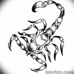 фото эскиз тату скорпион от 24.04.2018 №159 - sketch of a scorpion tattoo - tatufoto.com