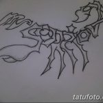 фото эскиз тату скорпион от 24.04.2018 №164 - sketch of a scorpion tattoo - tatufoto.com