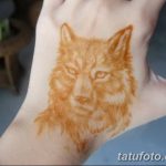 фото Мехенди волка от 05.05.2018 №023 - Mehendi the Wolf - tatufoto.com