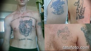 Фотография, демонстрирующая несколько татуировок на теле: тигр на груди, корабль на руке и надписи на разных участках тела.