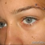фото пирсинг брови от 06.06.2018 №020 - eyebrow piercing - tatufoto.com