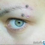 фото пирсинг брови от 06.06.2018 №022 - eyebrow piercing - tatufoto.com