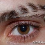 фото пирсинг брови от 06.06.2018 №040 - eyebrow piercing - tatufoto.com