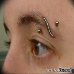 фото пирсинг брови от 06.06.2018 №045 - eyebrow piercing - tatufoto.com