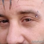 фото пирсинг брови от 06.06.2018 №048 - eyebrow piercing - tatufoto.com