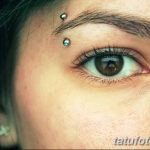 фото пирсинг брови от 06.06.2018 №100 - eyebrow piercing - tatufoto.com