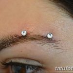 фото пирсинг брови от 06.06.2018 №102 - eyebrow piercing - tatufoto.com