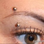 фото пирсинг брови от 06.06.2018 №103 - eyebrow piercing - tatufoto.com