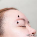 фото пирсинг брови от 06.06.2018 №105 - eyebrow piercing - tatufoto.com