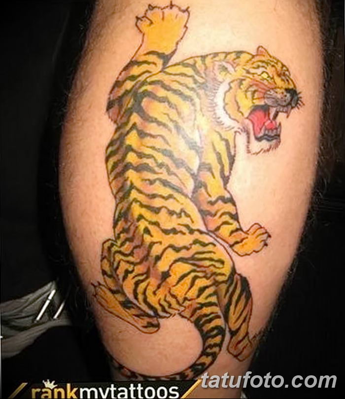 Значение татуировок. фото татуировка оскал тигра от 01.06.2018 № 079 - tige...