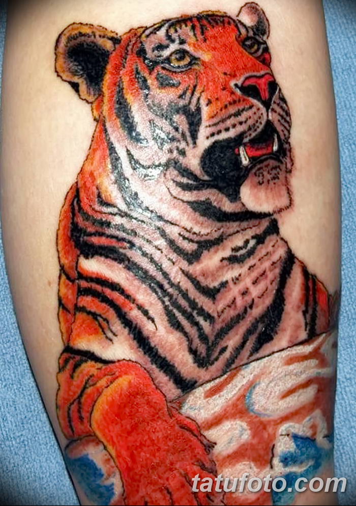 Значение татуировок. фото татуировка оскал тигра от 01.06.2018 № 109 - tige...