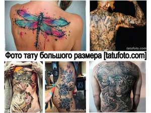 Фото тату: Коллаж из нескольких фотографий татуировок, включая стрекозу на спине, тигра на плече, череп и другие рисунки. Разнообразие стилей и сюжетов.