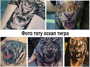 Коллаж из нескольких фото тату с изображением оскала тигра в различных стилях и техниках. Идеи для татуировки на предплечье и другие части тела.