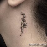 фото Модные тату от 23.06.2018 №047 - Fashionable Tattoos - tatufoto.com