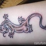 фото Модные тату от 23.06.2018 №162 - Fashionable Tattoos - tatufoto.com