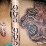 фото Модные тату от 23.06.2018 №507 - Fashionable Tattoos - tatufoto.com