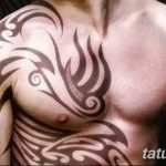 фото Модные тату от 23.06.2018 №545 - Fashionable Tattoos - tatufoto.com