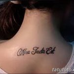 фото Модные тату от 23.06.2018 №577 - Fashionable Tattoos - tatufoto.com