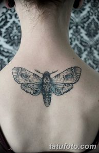Фото татуировки большого мотылька на спине девушки. Рисунок татуировки выполнен в черно-серых тонах, с высокой детализацией крыльев.