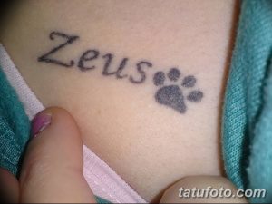 Фото тату с надписью 'Zeus' и маленьким отпечатком лапы, выполненным в серой гамме на коже. Идеально для любителей животных.