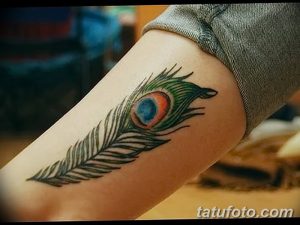 Фото тату: Красочная татуировка с изображением пера павлина, расположенная на предплечье. Детализированный рисунок татуировки.