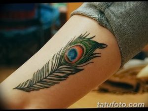 Фото тату: Красочная татуировка с изображением пера павлина, расположенная на предплечье. Детализированный рисунок татуировки.