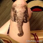 фото Тату на колене от 05.06.2018 №085 - Tattoo on the knee - tatufoto.com