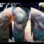 фото Тату на колене от 05.06.2018 №120 - Tattoo on the knee - tatufoto.com
