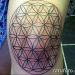 фото Тату на колене от 05.06.2018 №180 - Tattoo on the knee - tatufoto.com