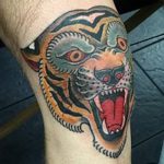 фото Тату на колене от 05.06.2018 №282 - Tattoo on the knee - tatufoto.com