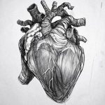 фото Эскизы тату Сердце от 20.06.2018 №063 - Sketches Tattoo Heart - tatufoto.com