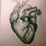 фото Эскизы тату Сердце от 20.06.2018 №171 - Sketches Tattoo Heart - tatufoto.com