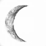 фото Эскизы тату полумесяц от 18.06.2018 №080 - Sketches of a moon tattoo - tatufoto.com