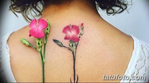 фото рисунок женской тату от 03.06.2018 №216 - drawing of female tattoo - tatufoto.com