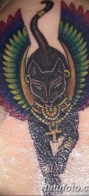 фото тату Кошка с крыльями от 26.06.2018 №007 — Cat tattoo with wings — tatufoto.com